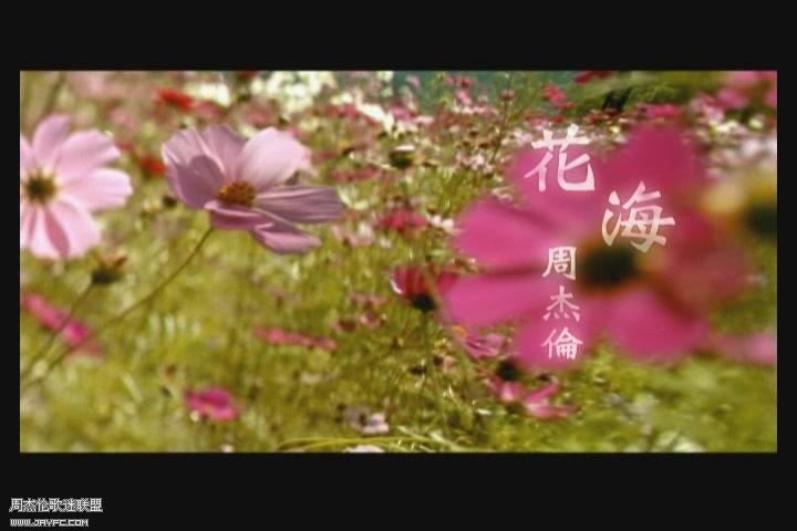 花海MV截图